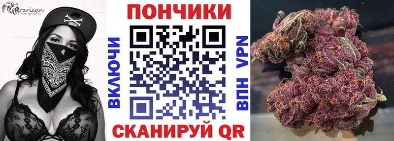 Конопля Amnesia Суджа